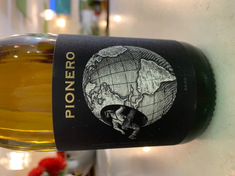 Pionero Mundi
