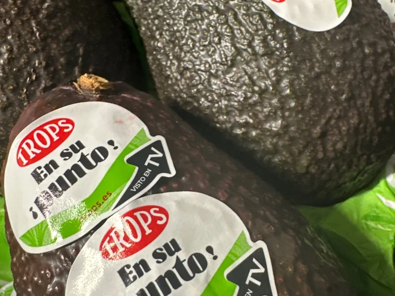 Aguacate