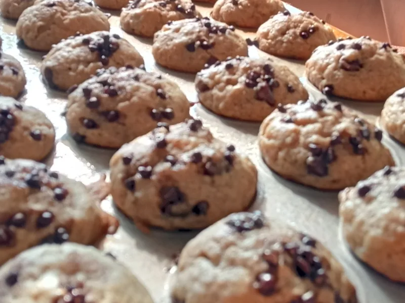 MUFFIN