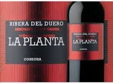 Botella La Planta y similares