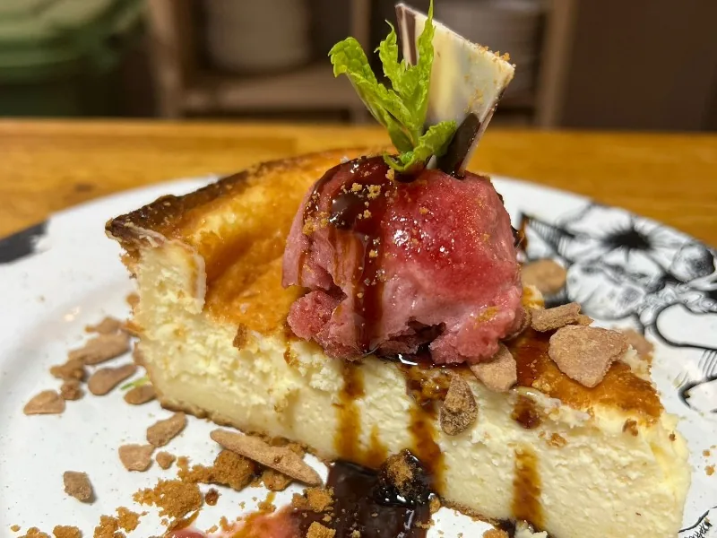 Homemade baked cheesecake with ice cream