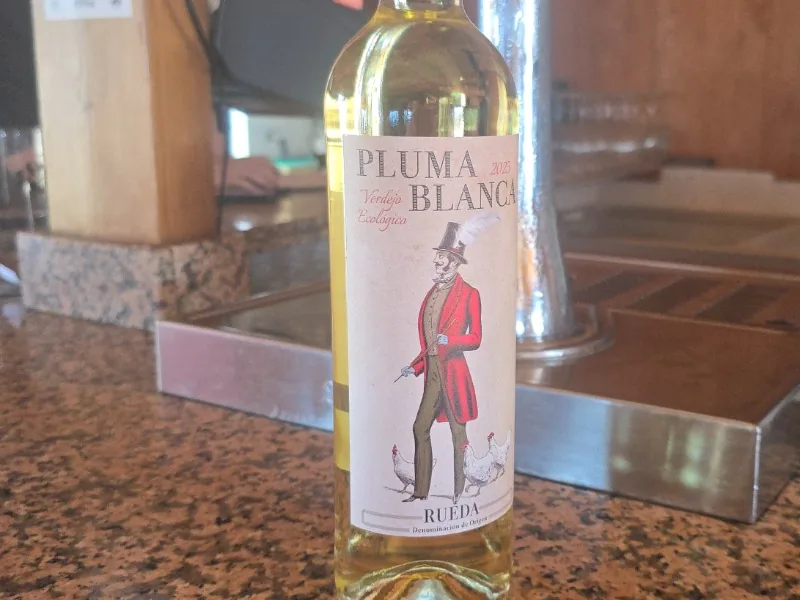 Pluma blanca