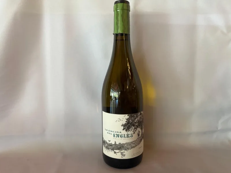 Encina del inglés blanco