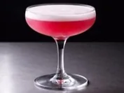CLOVER CLUB