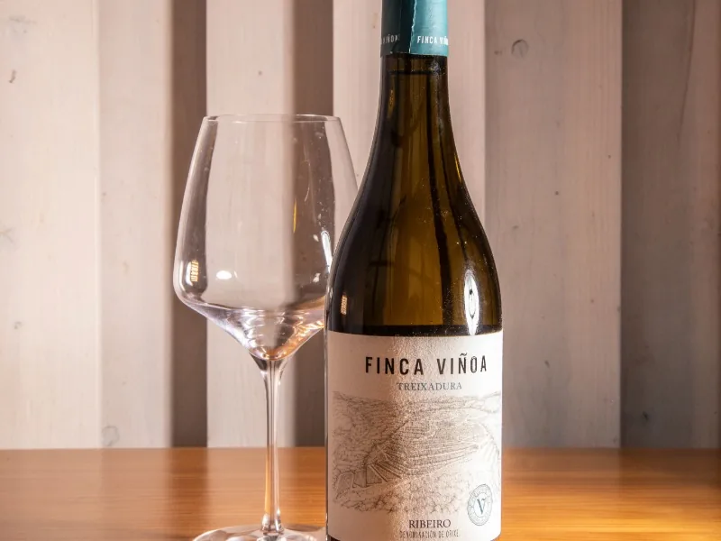 Finca Viñoa Treixadura