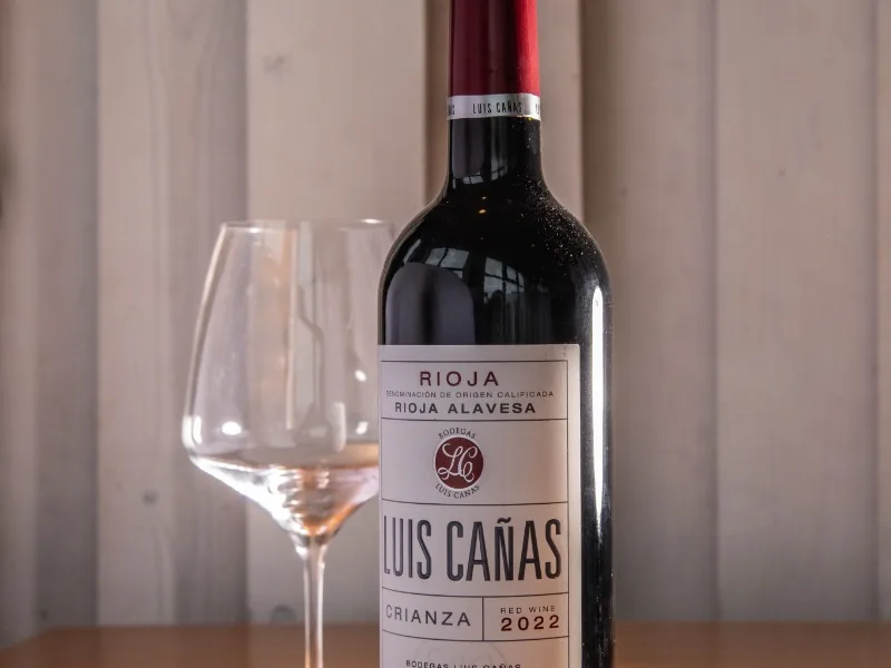 Luis Cañas
