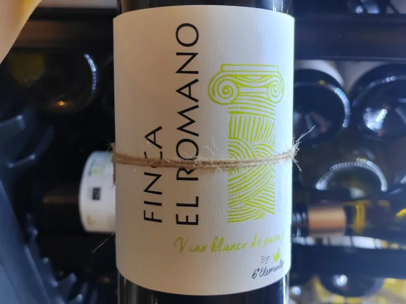 Finca El Romano 23